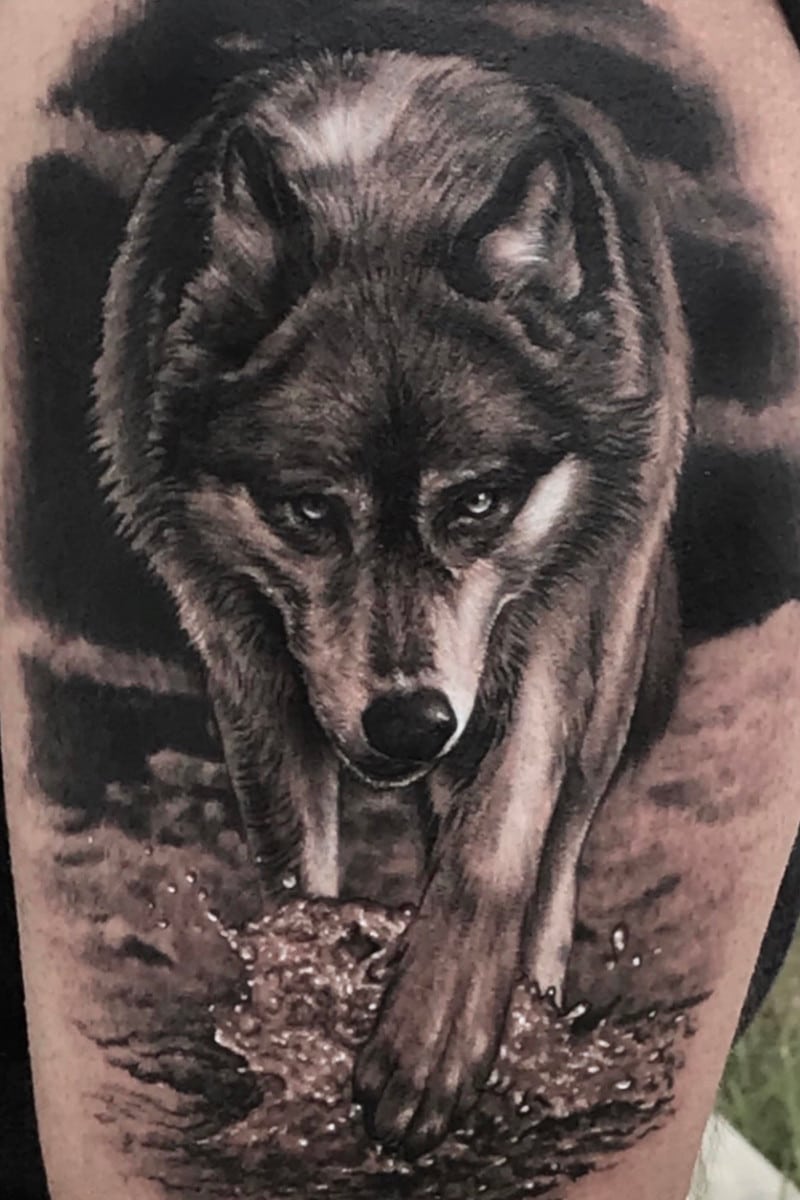 Tatuaje de Lobo caminando en el agua