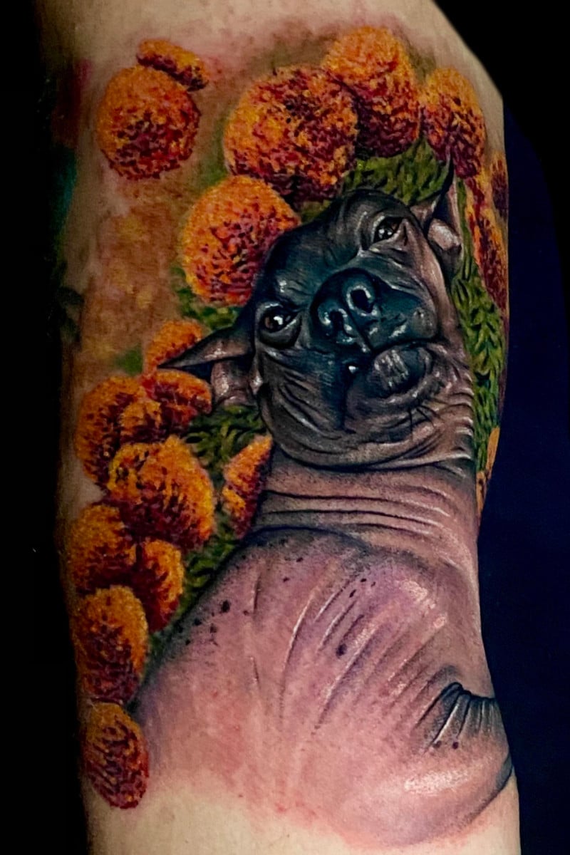 Tatuaje de Perro Xoloitzcuincle con flores de cempasuchil
