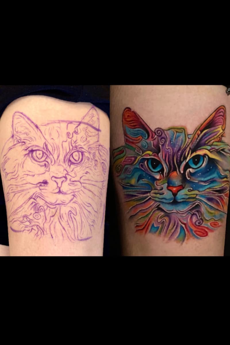 Tatuaje Gato Colores - Antes y Después