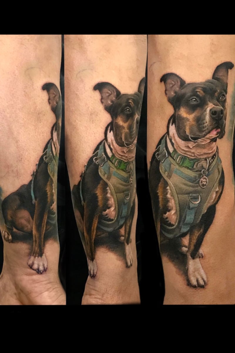 Tatuaje Perro French Bulldog