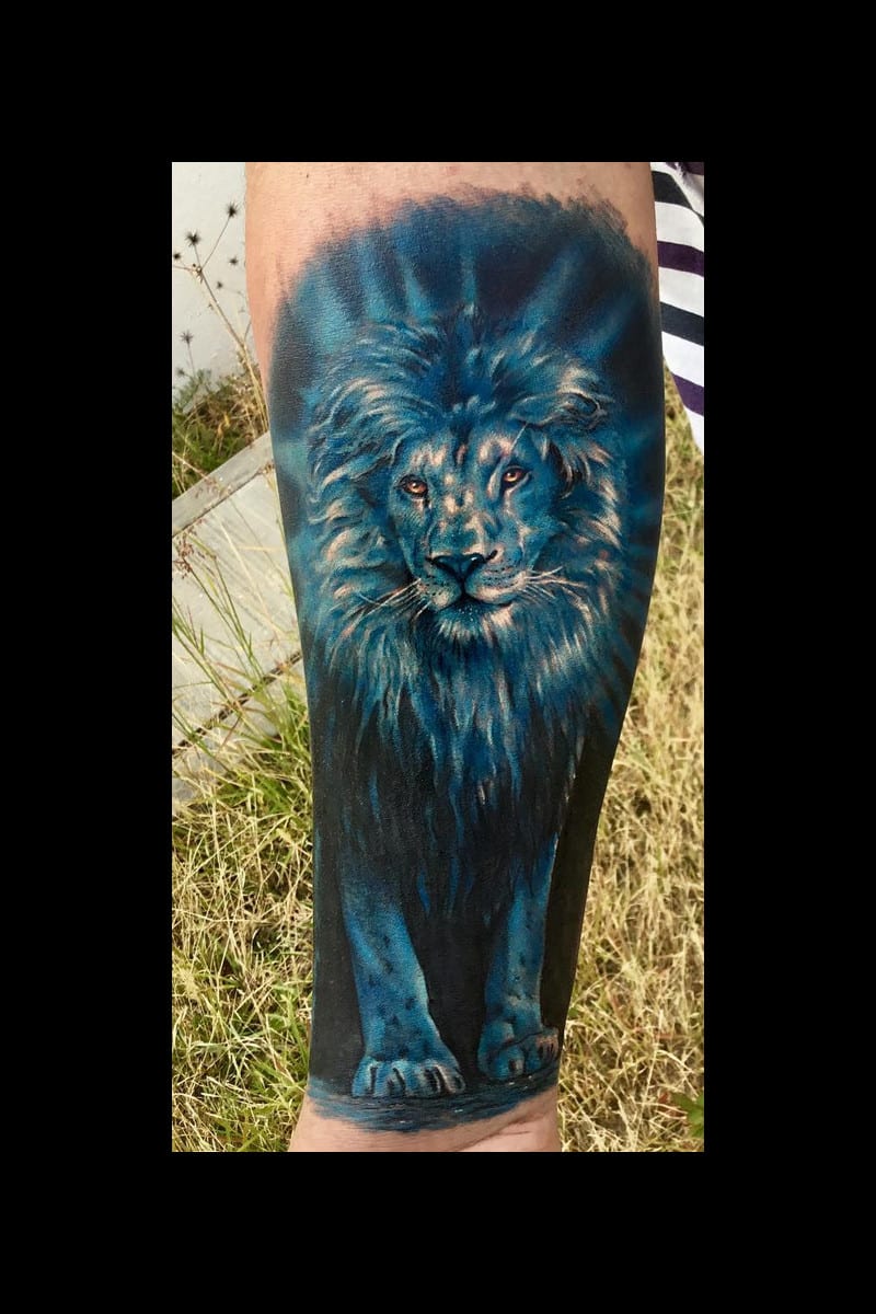 animal-blue-lion