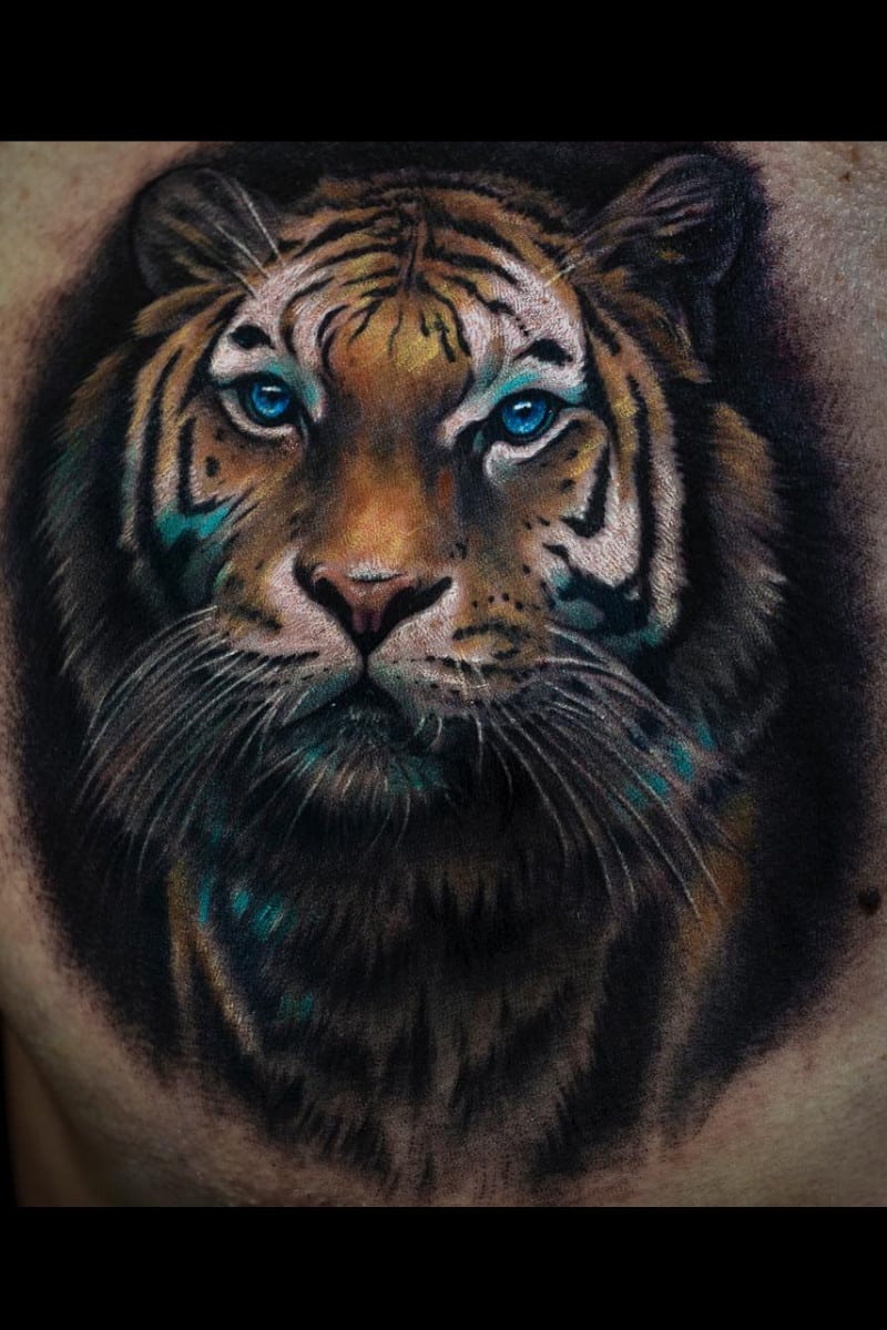 animal-blued-tiger