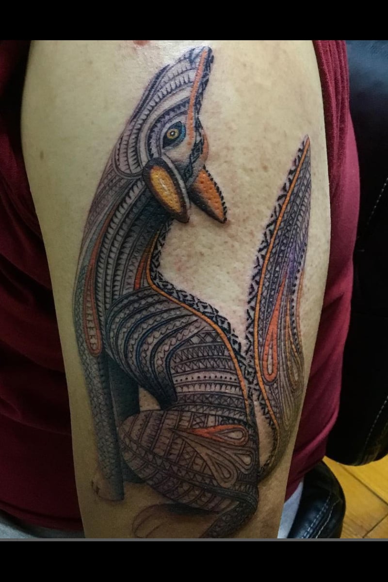 animal-coyotito