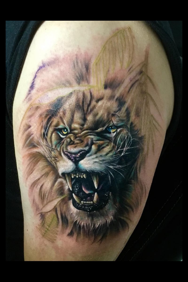 animal-felino-color-angry
