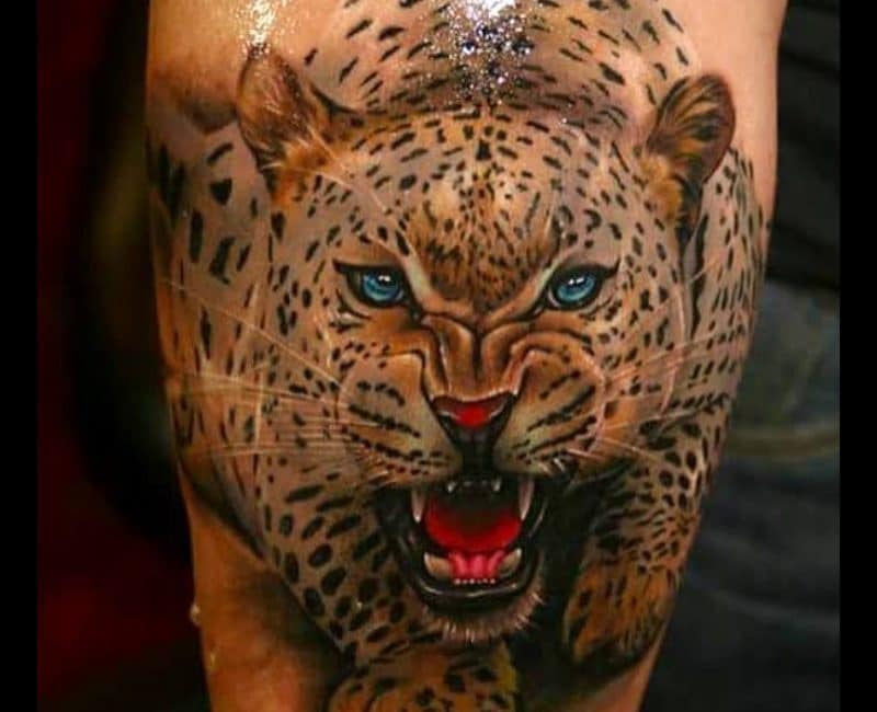 animal-jaguar-front