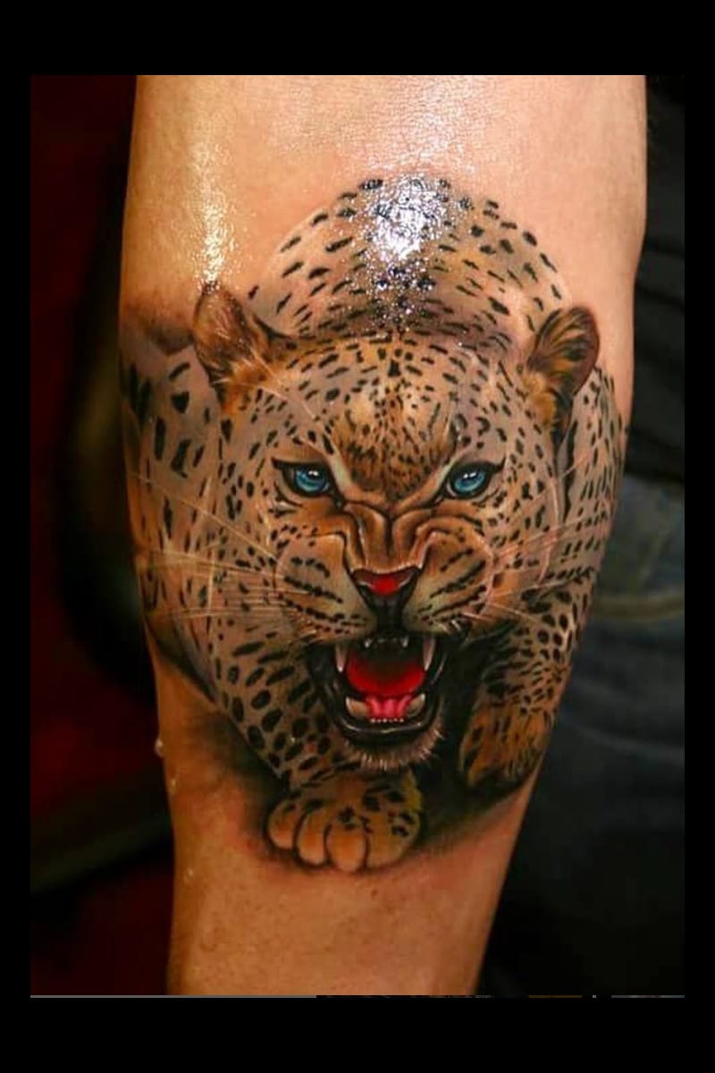 animal-jaguar-front