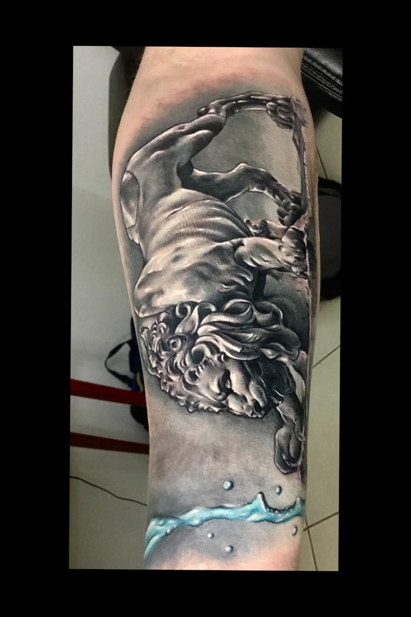 animal-lion-water