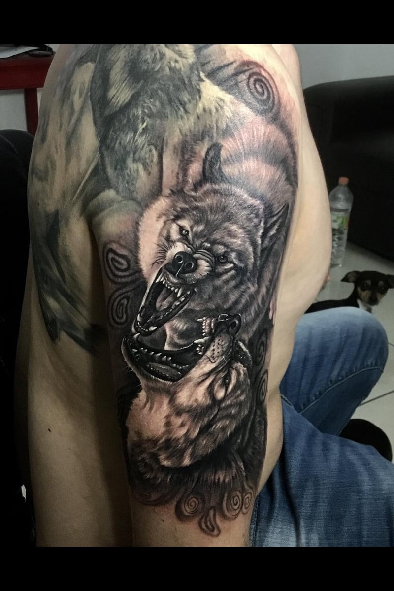 animal-lobos-peleando