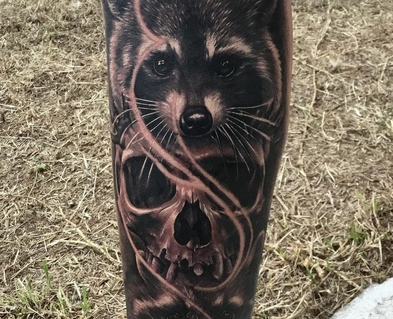 animal-mapache-racoon-skull