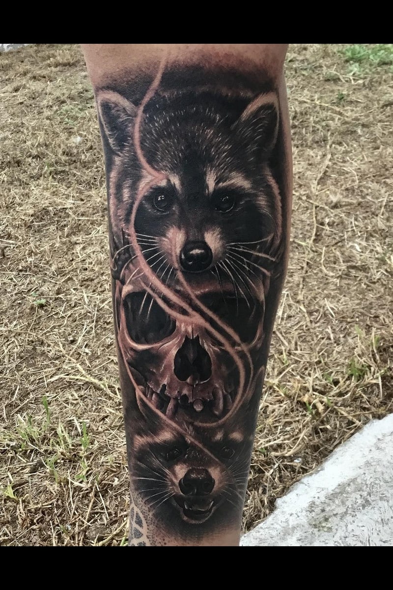 animal-mapache-racoon-skull