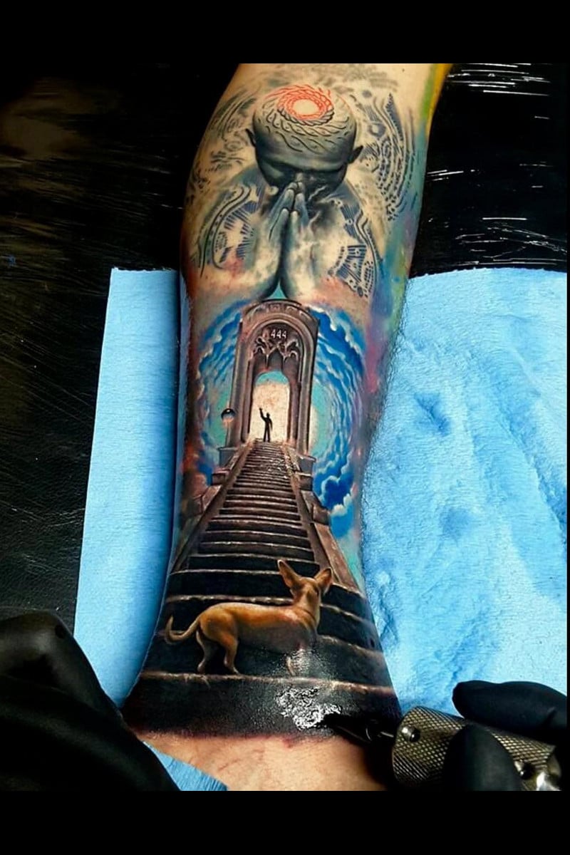 animal-perro-portal