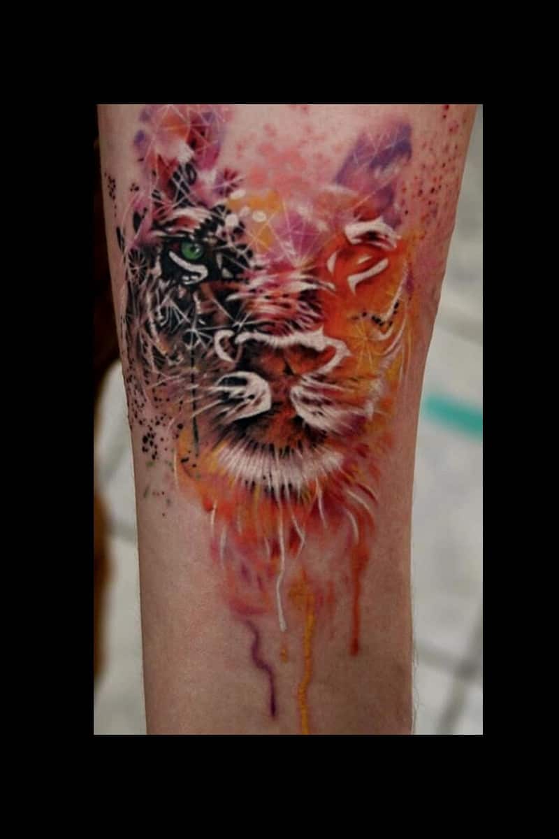 animal-tiger-in-red