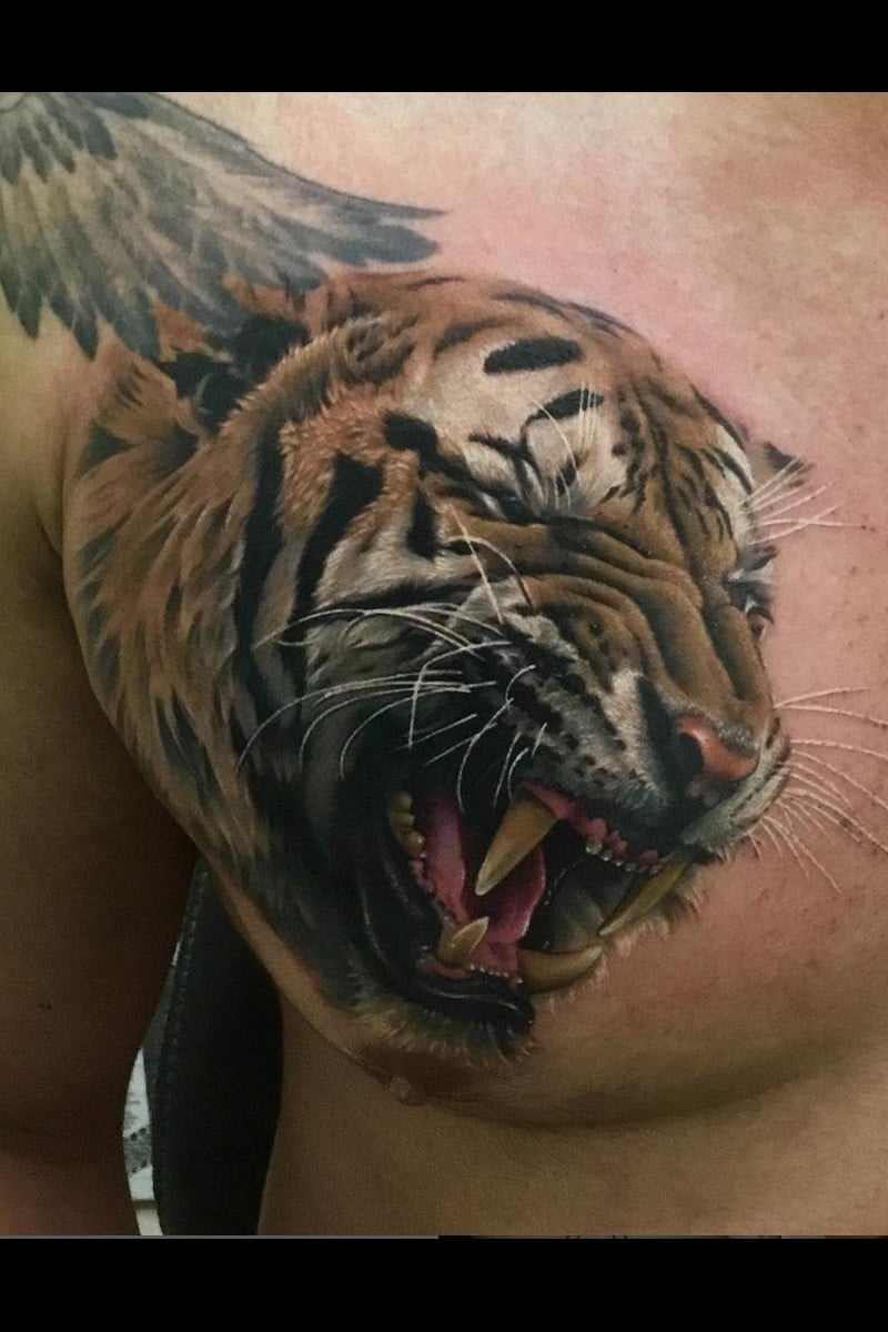 animal-tigre-full-color