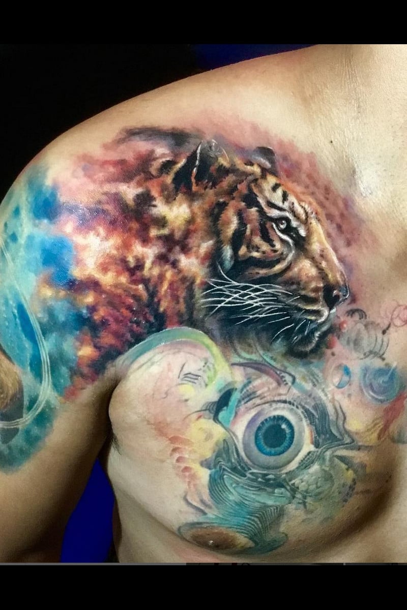 animal-universe-tiger-eye