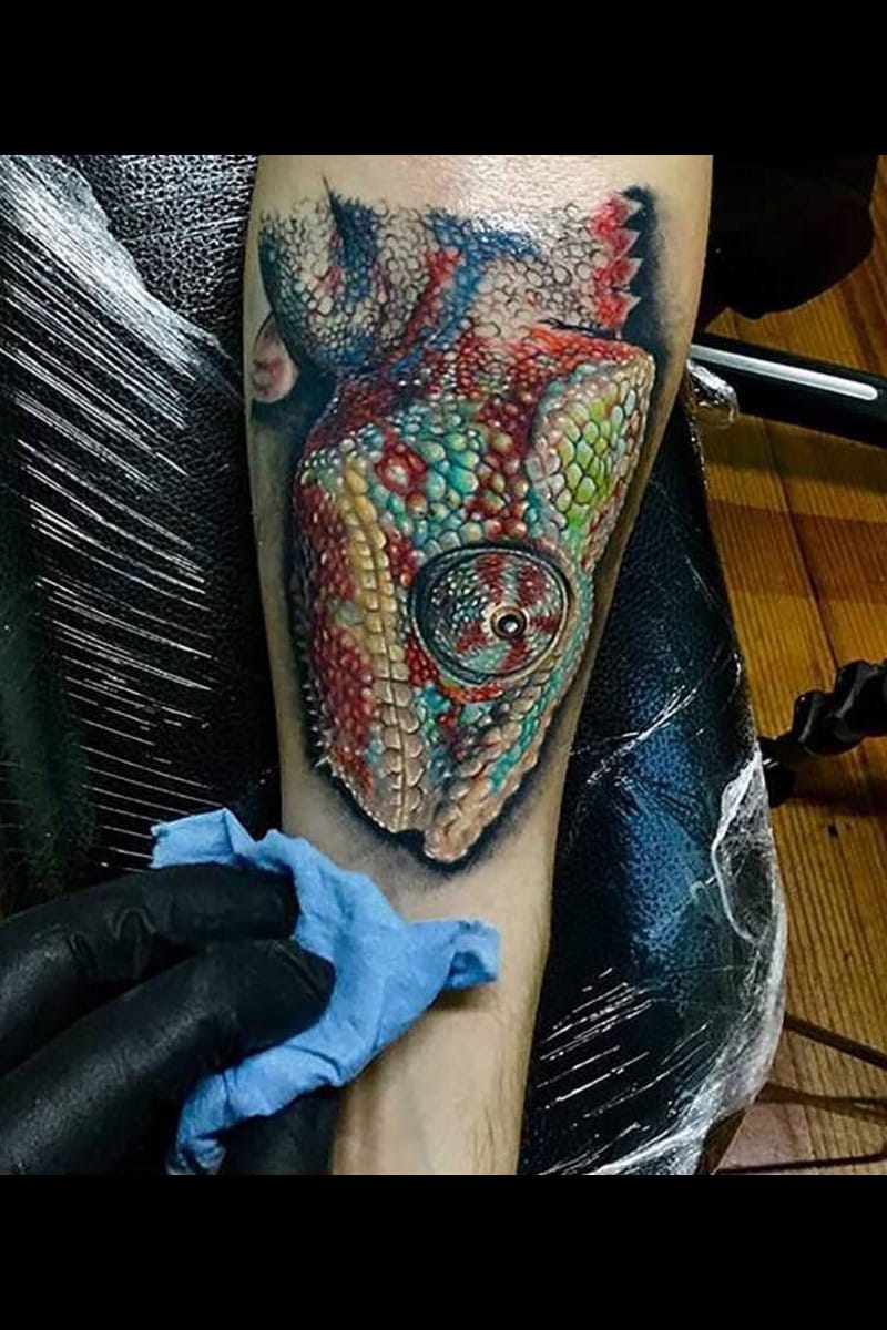 realistic-camaleon-colorized