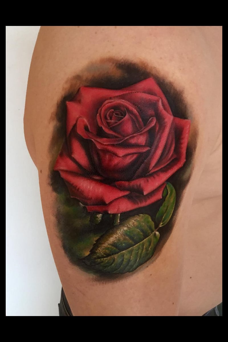 realistic-rosa-roja