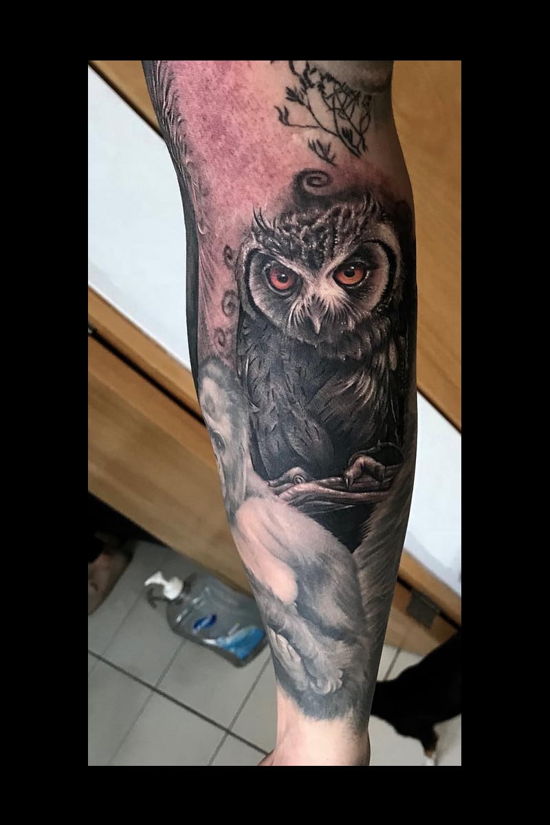 animal-buho-forest