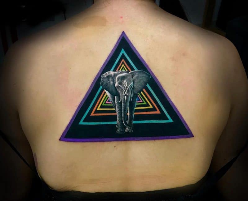animal-elephant-triangles-for-woman