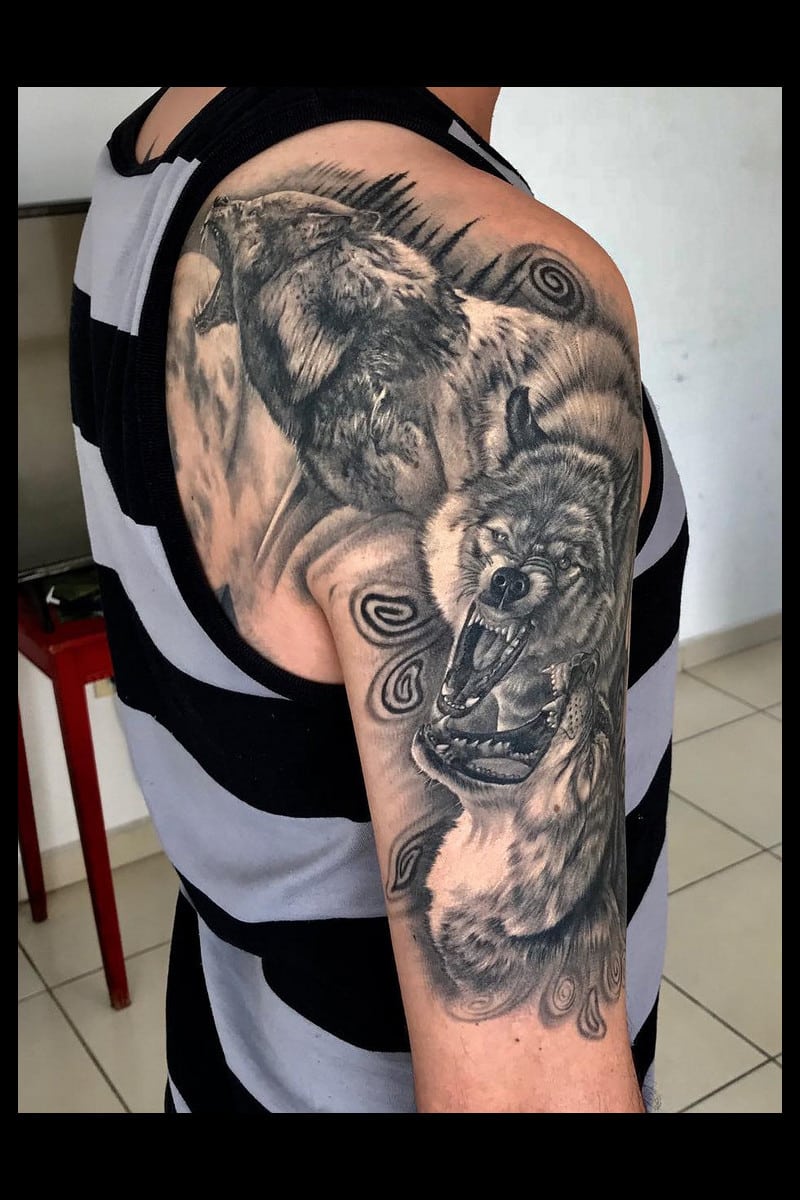 animal-lobos-cicatrizado