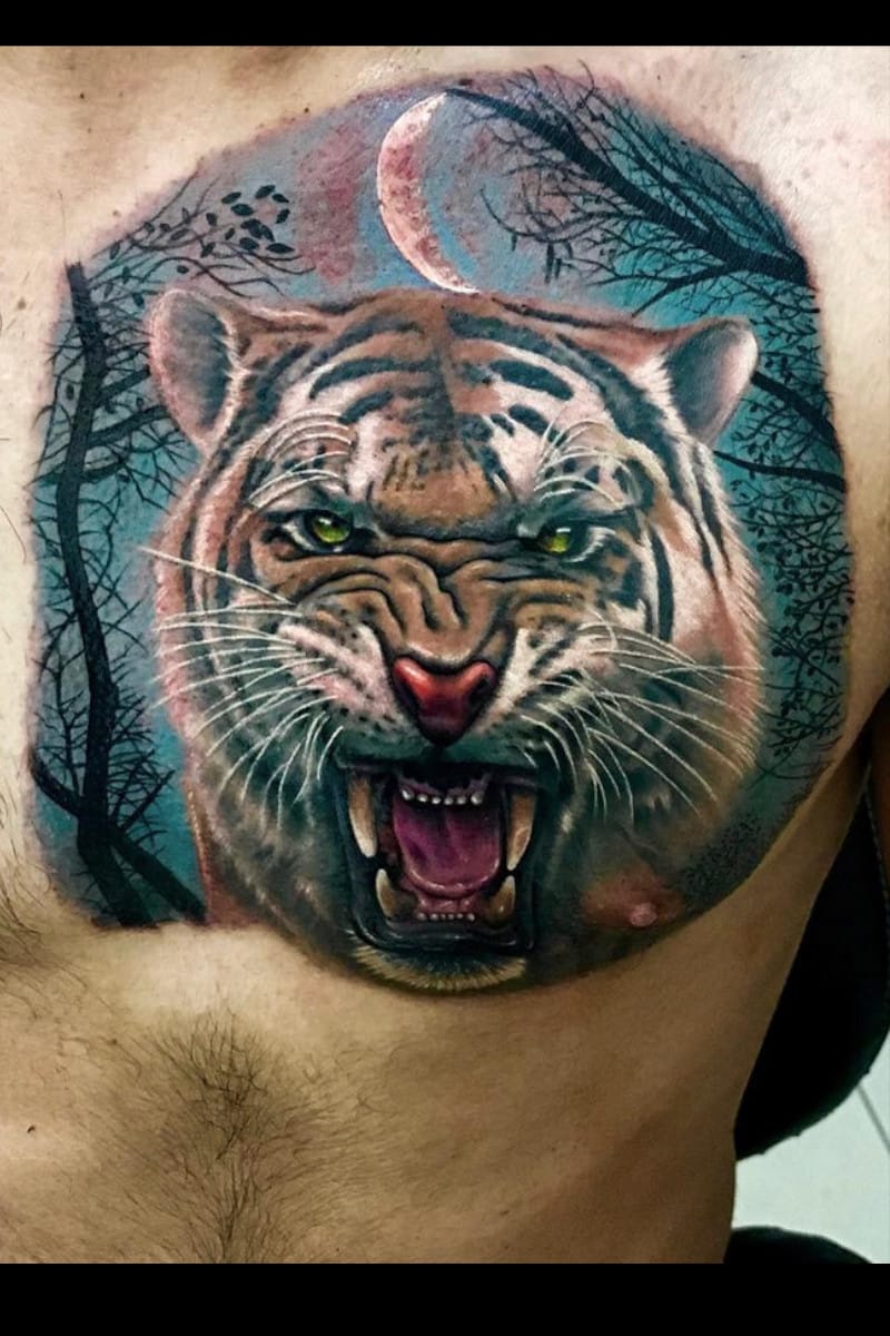 animal-tiger-moon-forest
