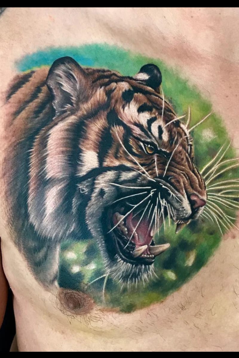 animal-tigre-in-chest