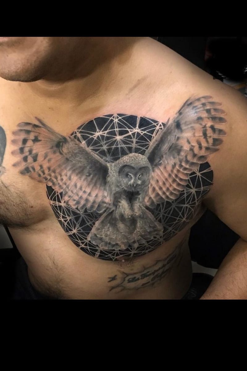 bn-owl-art