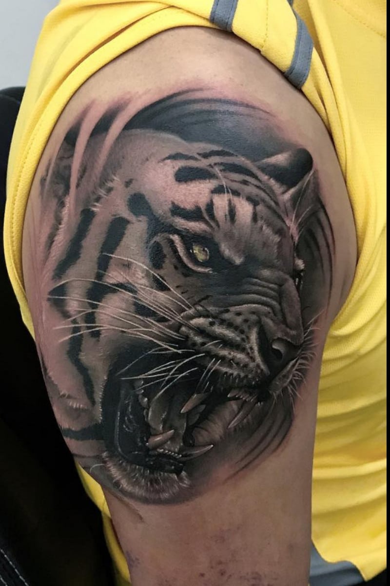 bn-tiger