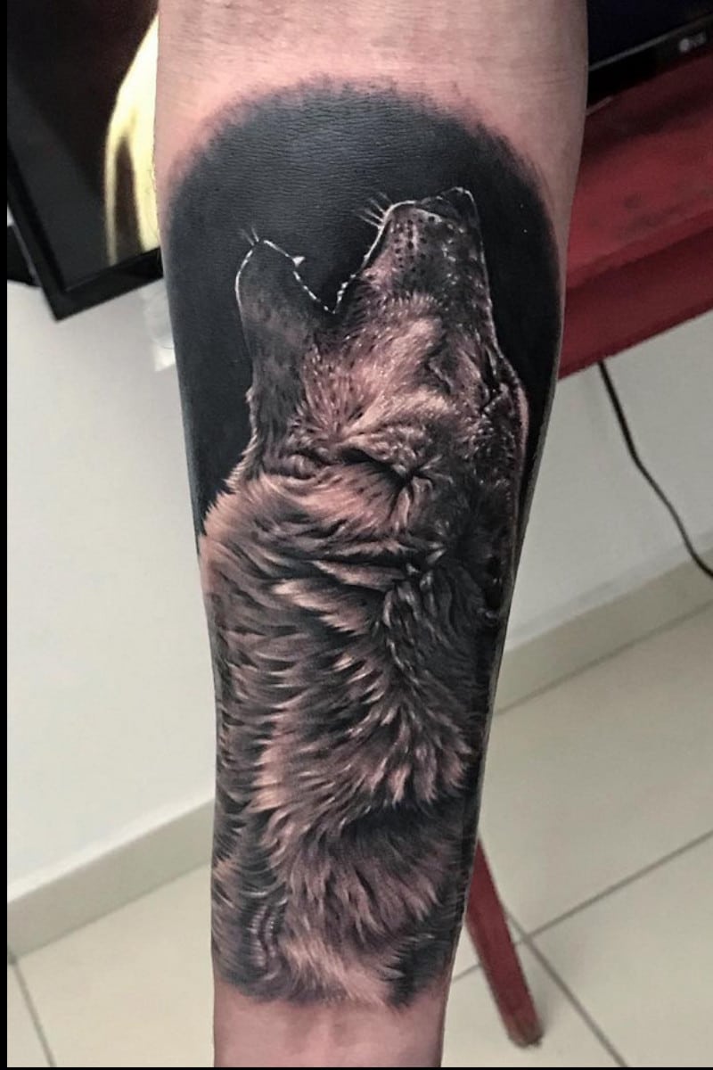 bn-wolf-howling