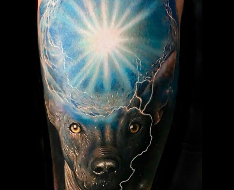 cosmic-dog-energy-xoloitzcuintle