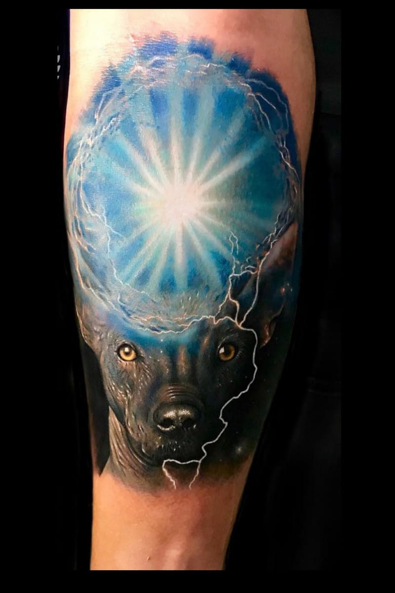 cosmic-dog-energy-xoloitzcuintle