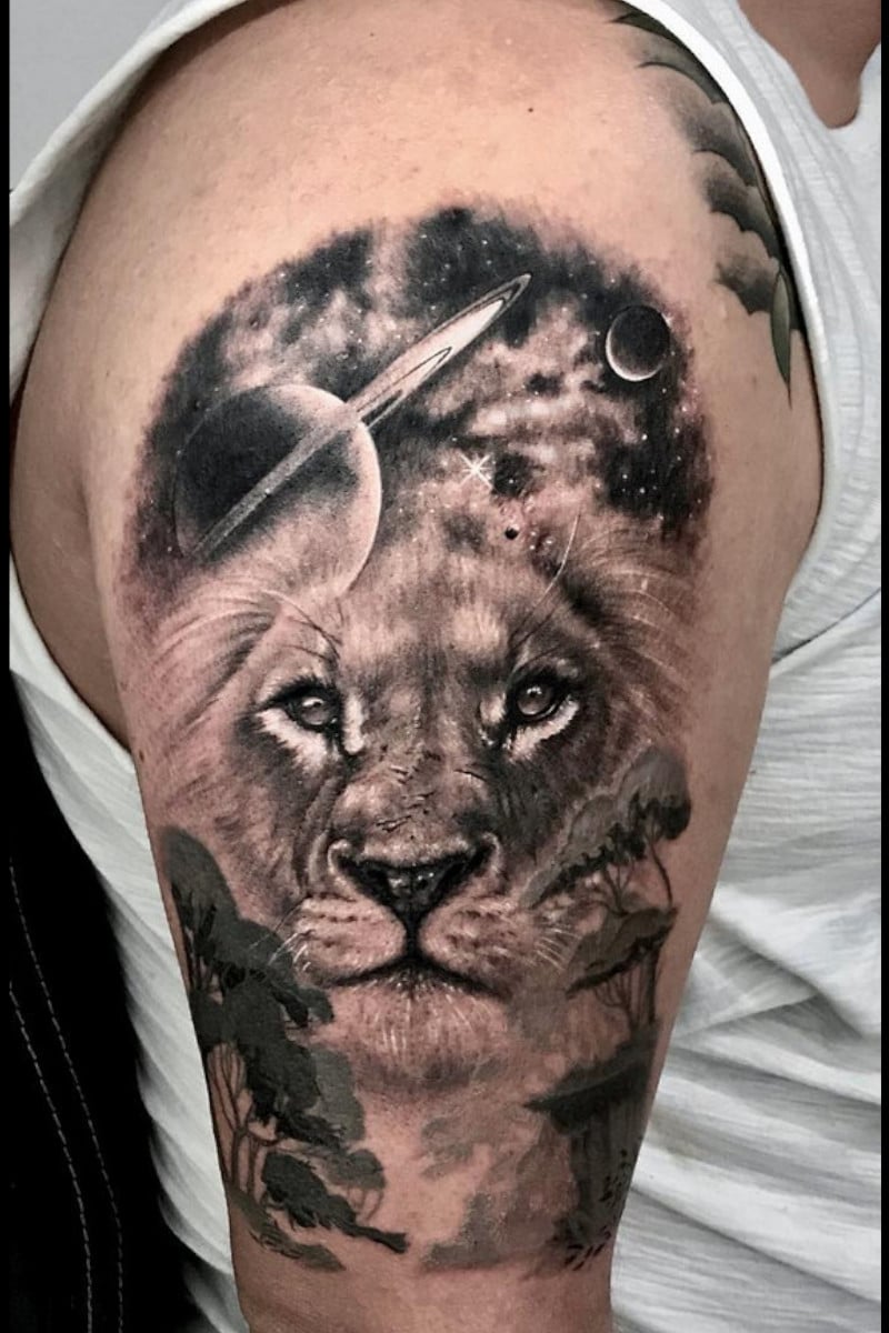 cosmic-lion-universe