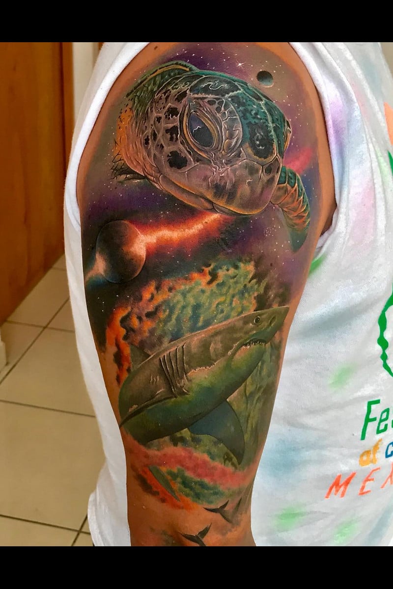 cosmic-turtle-shark
