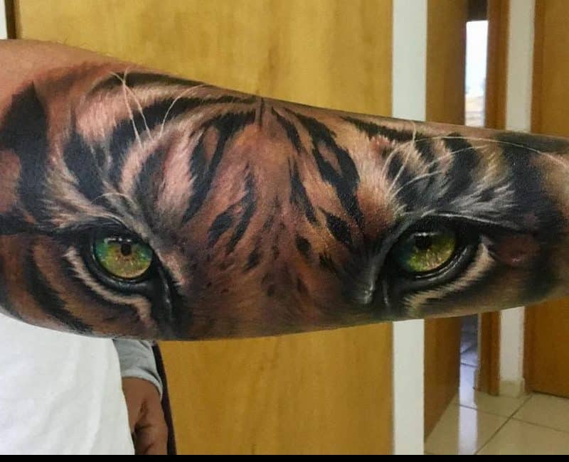 realistic-eyes-of-the-tiger