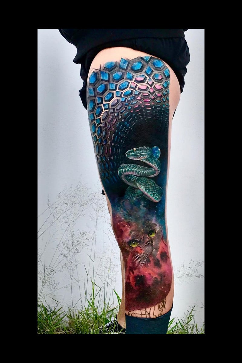 cosmic-cat-snake