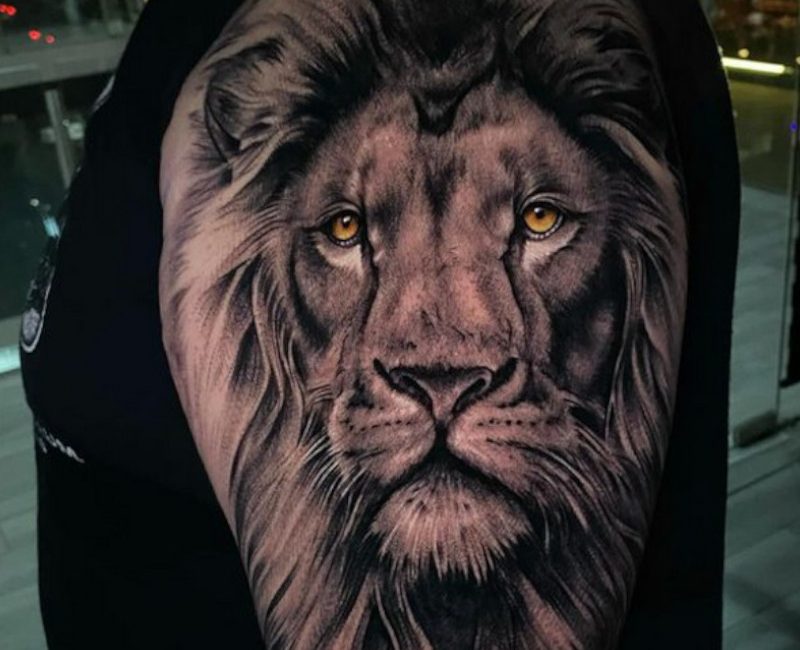 Animal-Leon-Brazo-Blak-Honey
