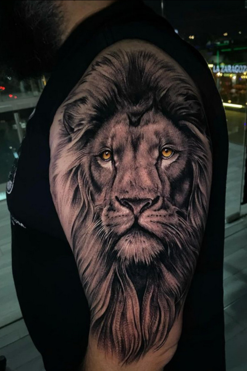 Animal-Leon-Brazo-Blak-Honey