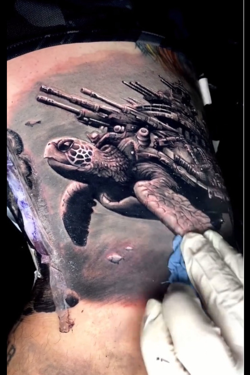 Animal-Sea-Turtle-War