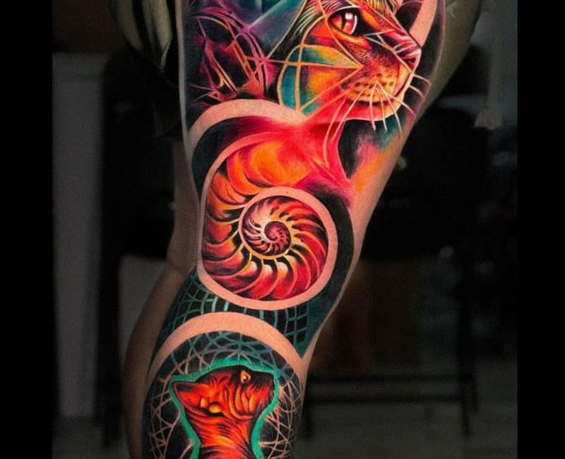 Gatos-Universo-Pierna