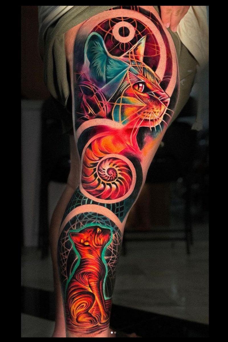 Gatos-Universo-Pierna